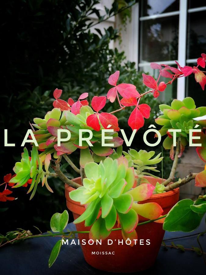 Bed and Breakfast La Prevote Moissac Exterior foto